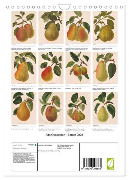 Produktbild: Alte Obstsorten - Birnen 2026 (Wandkalender 2026 DIN A4 hoch), CALVENDO Monatskalender