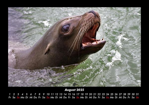 Produktbild: Der Tierkalender 2025 Fotokalender DIN A3