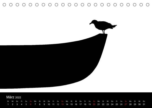 Produktbild: Kieler V&ouml;gel (Tischkalender 2022 DIN A5 quer)