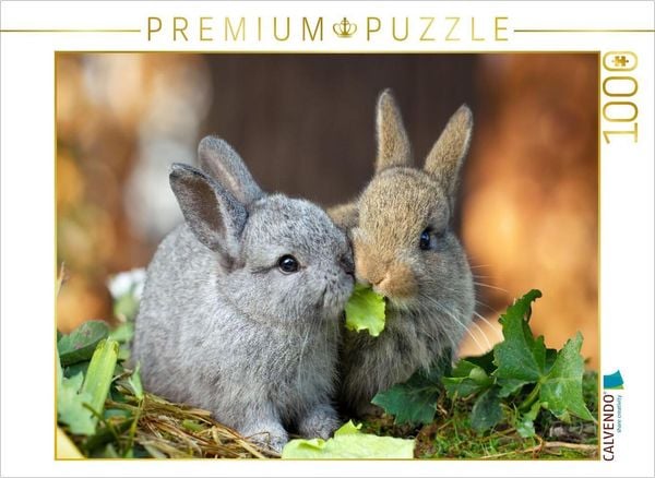 CALVENDO Puzzle Flauschige Fellknäuel | 1000 Teile Lege-Größe 64x48cm Foto-Puzzle für glückliche Stunden