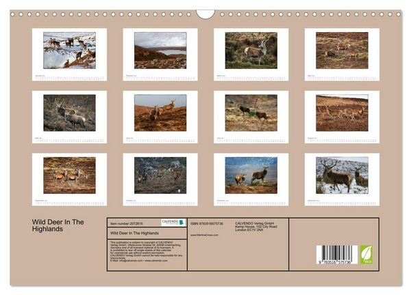 Produktbild: Wild Deer In The Highlands (Wall Calendar 2026 DIN A3 landscape), CALVENDO 12 Month Wall Calendar