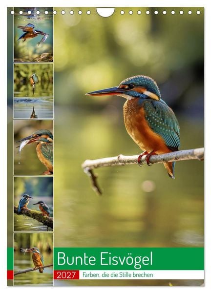 Produktbild: Bunte Eisv&ouml;gel (Wandkalender 2027 DIN A4 hoch), CALVENDO Monatskalender