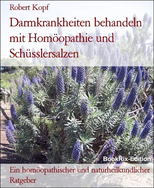 Produktbild: Darmkrankheiten behandeln mit Hom&ouml;opathie und Sch&uuml;sslersalzen