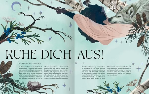 Produktbild: Die geheime Kraft des Waldes