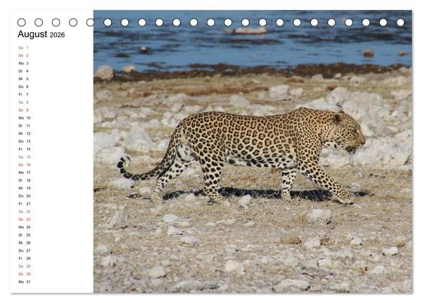 Produktbild: Namibia - Tierische Vielfalt (Planer) (Tischkalender 2026 DIN A5 quer), CALVENDO Monatskalender