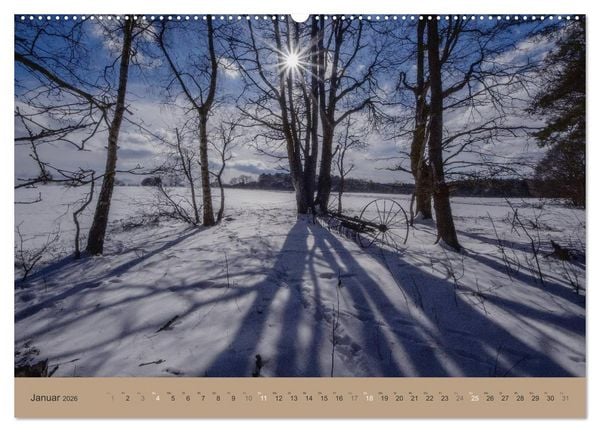 Produktbild: Unser Wald - Magische Sichten in norddeutsche W&auml;lder (Wandkalender 2026 DIN A2 quer), CALVENDO Monatskalender