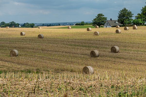 Produktbild: Sk&aring;ne