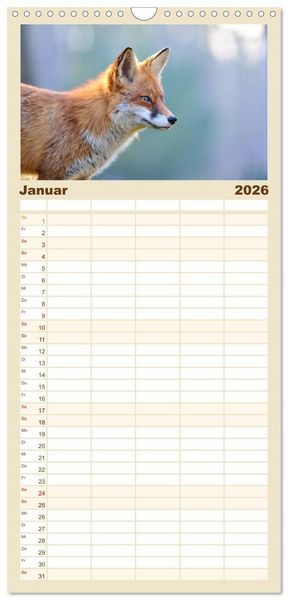Produktbild: Familienplaner 2026 - Auf den Spuren der Stadtf&uuml;chse mit 5 Spalten (Wandkalender, 21 x 45 cm) CALVENDO