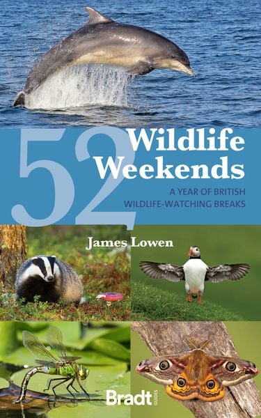 Produktbild: 52 Wildlife Weekends