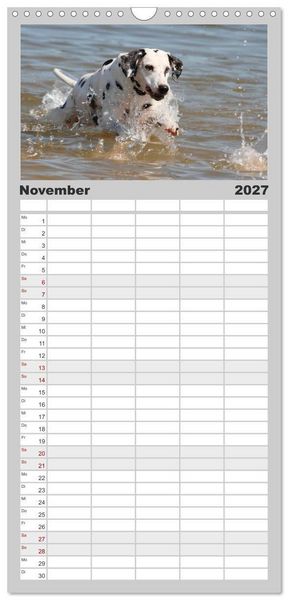 Produktbild: Familienplaner 2027 - Gefleckte Freunde - Hunderasse Dalmatiner mit 5 Spalten (Wandkalender, 21 x 45 cm) CALVENDO