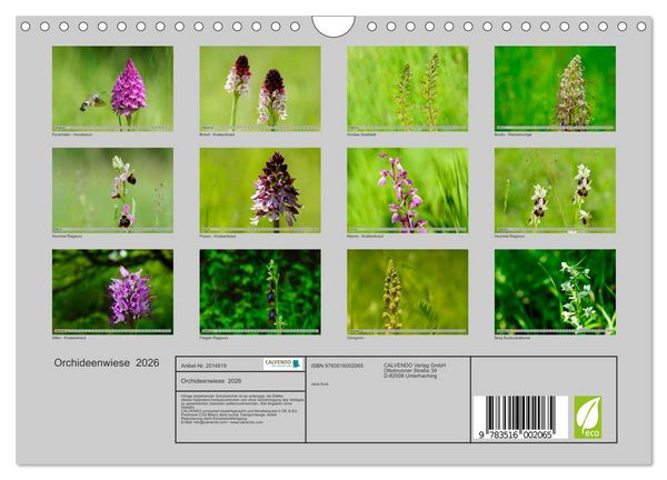 Produktbild: Orchideenwiese 2026 (Wandkalender 2026 DIN A4 quer), CALVENDO Monatskalender