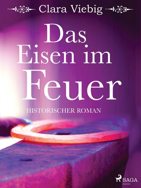 Produktbild: Das Eisen im Feuer