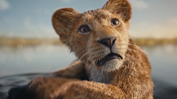 Mufasa - Der König der Löwen