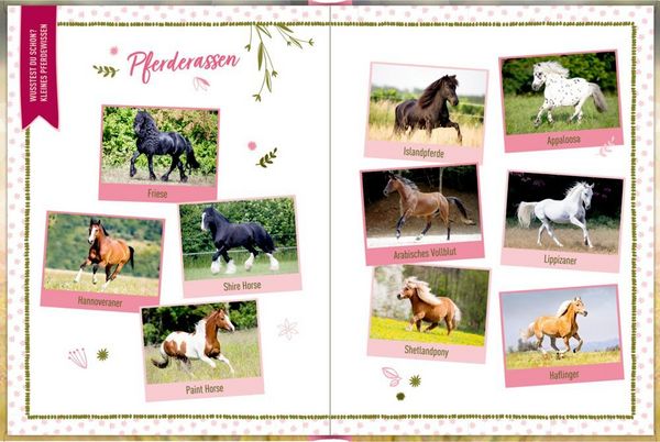 Produktbild: Eintragbuch