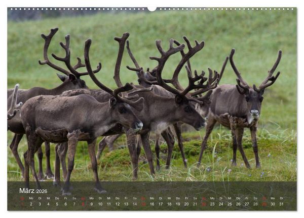 Produktbild: Lappland 2026 (Wandkalender 2026 DIN A2 quer), CALVENDO Monatskalender