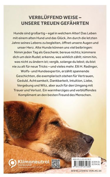 Produktbild: Die Weisheit alter Hunde