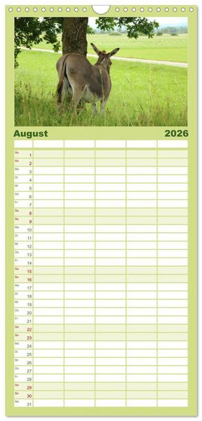 Produktbild: Familienplaner 2026 - Esel - liebenswerte Langohren mit 5 Spalten (Wandkalender, 21 x 45 cm) CALVENDO