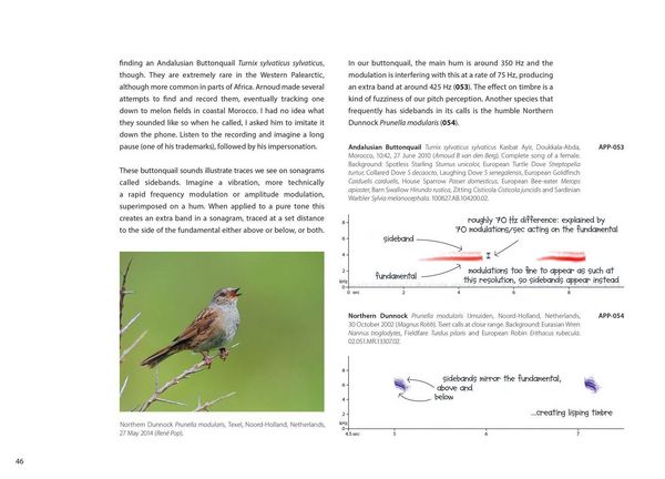 Produktbild: Xsound Approach To Birding Hb