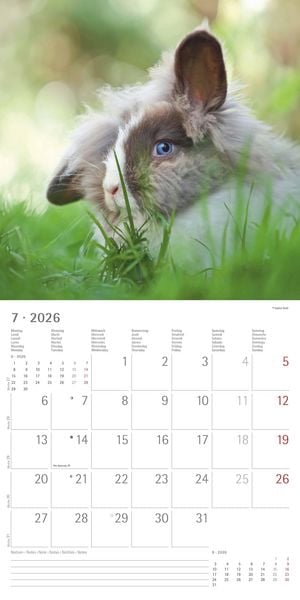 Produktbild: Kaninchen 2026 - Broschürenkalender 30x30 cm (30x60 geöffnet) - Kalender mit Platz für Notizen - Rabbits - Bildkalender - Wandplaner - Wandkalender