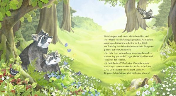 Produktbild: Der kleine Waschb&auml;r fragt nach Gott &ndash; ein Bilderbuch f&uuml;r Kinder ab 2 Jahren
