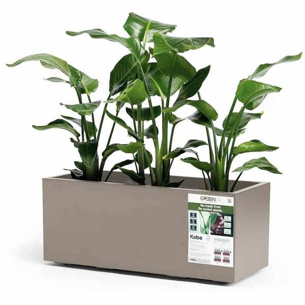 Euro3plast Greener KEBE 3154.G9Pflanzkasten Kunststoff Taupe