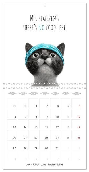 Produktbild: Purrfectly Cool Cats (Wall Calendar 2026 12 &times; 12 Inch) CALVENDO 12 Month Wall Calendar