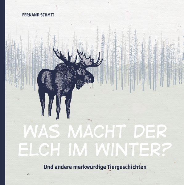 Produktbild: Was macht der Elch im Winter?