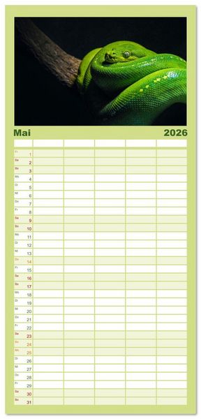 Produktbild: Familienplaner 2026 - Faszination Schlangen mit 5 Spalten (Wandkalender, 21 x 45 cm) CALVENDO