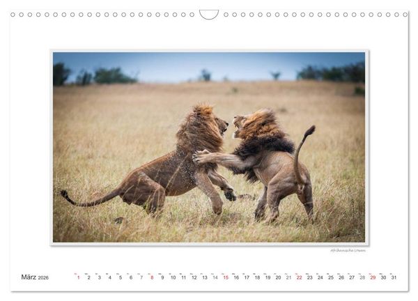 Produktbild: Emotionale Momente: Gro&szlig;e Raubkatzen der Welt. (Wandkalender 2026 DIN A3 quer), CALVENDO Monatskalender