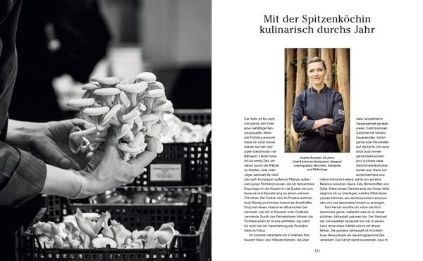 Produktbild: Into the Woods: Pilze suchen und Gl&uuml;ck finden