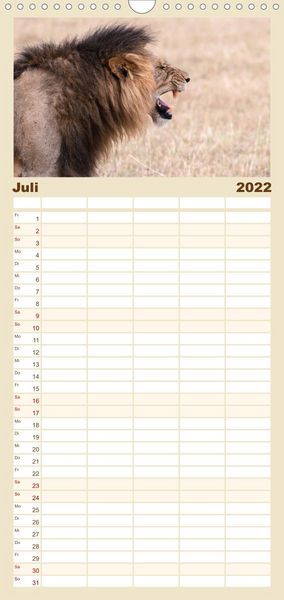 Produktbild: L&ouml;wen - Raubkatzen Afrikas - Familienplaner hoch (Wandkalender 2022 , 21 cm x 45 cm, hoch)