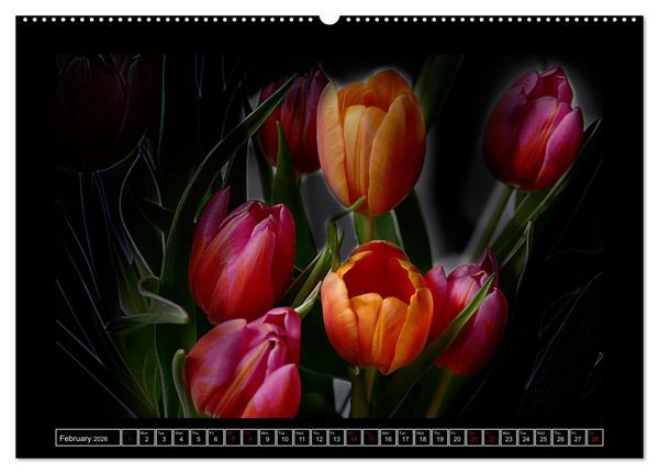 Produktbild: Mysterious plant portraits (High Quality Premium Wall Calendar 2026 DIN A2 landscape),CALVENDO 12 Month Wall Calendar