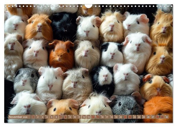 Produktbild: Kuschelblicke (Wandkalender 2026 DIN A3 quer), CALVENDO Monatskalender