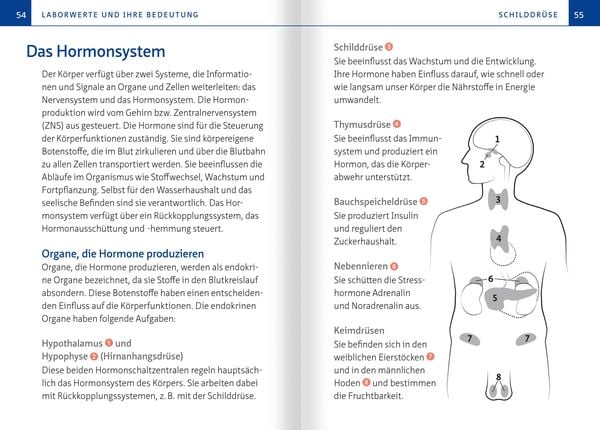 Produktbild: Laborwerte verstehen. Kompakt-Ratgeber