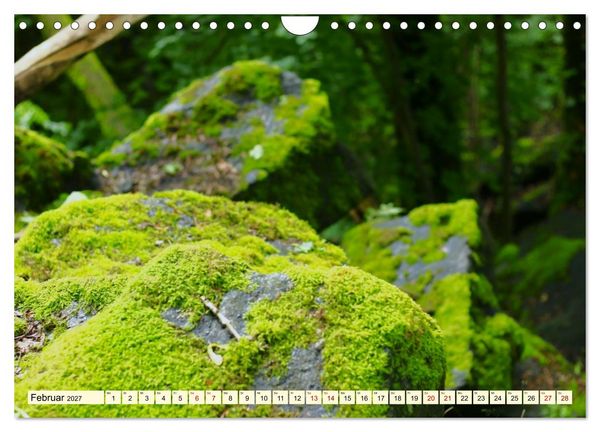 Produktbild: Natur und Architektur im Odenwald (Wandkalender 2027 DIN A4 quer), CALVENDO Monatskalender