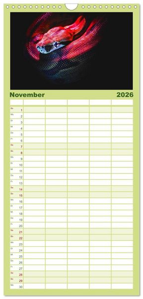 Produktbild: Familienplaner 2026 - Reptilien - Tierische Farbenpracht mit 5 Spalten (Wandkalender, 21 x 45 cm) CALVENDO