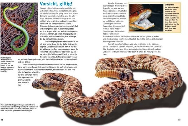 Produktbild: Entdecke die Reptilien