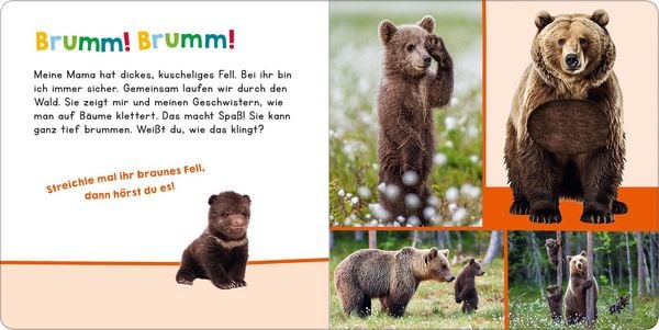 Produktbild: H&ouml;r mal rein, wer kann das sein? &ndash; Meine Mama