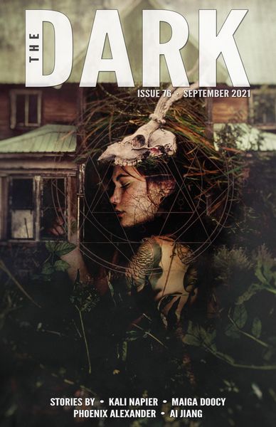 Produktbild: The Dark Issue 76