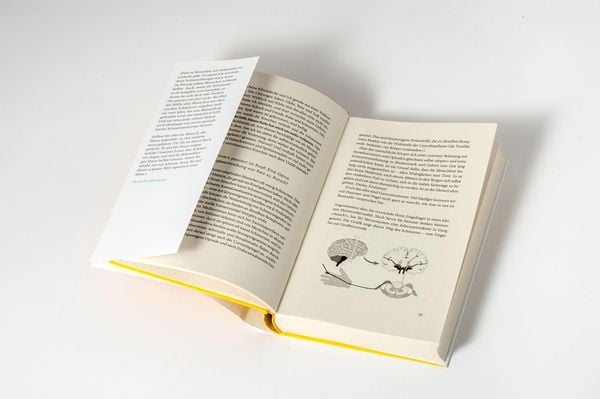 Produktbild: Schmerzen
