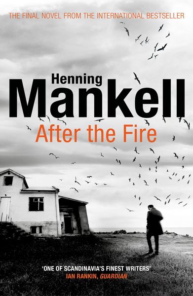 Produktbild: After the Fire