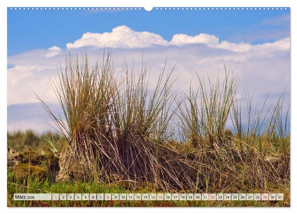 Produktbild: Nordseeinsel Amrum (hochwertiger Premium Wandkalender 2026 DIN A2 quer), Kunstdruck in Hochglanz