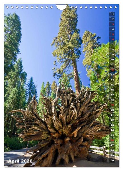 Produktbild: YOSEMITE VALLEY Natur Pur (Wandkalender 2026 DIN A4 hoch), CALVENDO Monatskalender