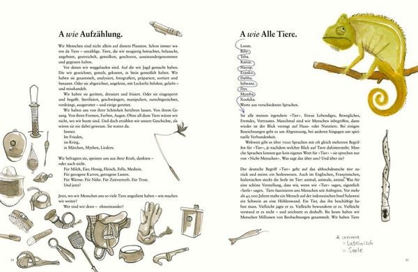 Produktbild: Du Tier, ich Mensch?