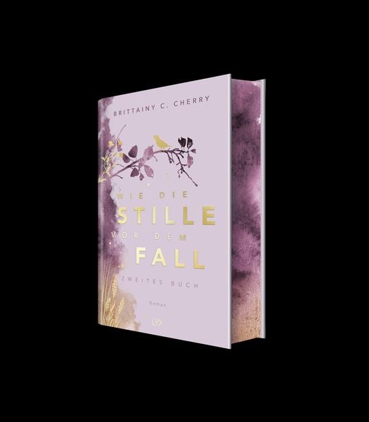 Produktbild: Wie die Stille vor dem Fall. Zweites Buch: Special Edition