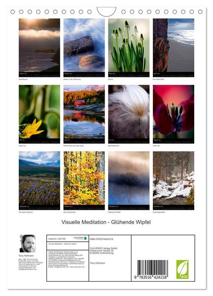 Produktbild: Visuelle Meditation - Gl&uuml;hende Wipfel (Wandkalender 2026 DIN A4 hoch), CALVENDO Monatskalender