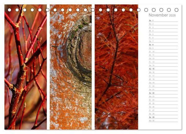 Produktbild: Nat&uuml;rlicher Dreiklang (Tischkalender 2026 DIN A5 quer), CALVENDO Monatskalender