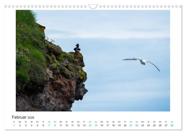 Produktbild: PAPAGEIENTAUCHER - Clowns der Nordmeere (Wandkalender 2026 DIN A3 quer), CALVENDO Monatskalender