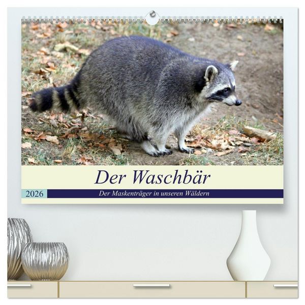 Produktbild: Der Waschb&auml;r - Der Maskentr&auml;ger in unseren W&auml;ldern (hochwertiger Premium Wandkalender 2026 DIN A2 quer), Kunstdruck in Hochglanz