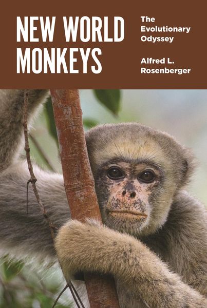 Produktbild: New World Monkeys
